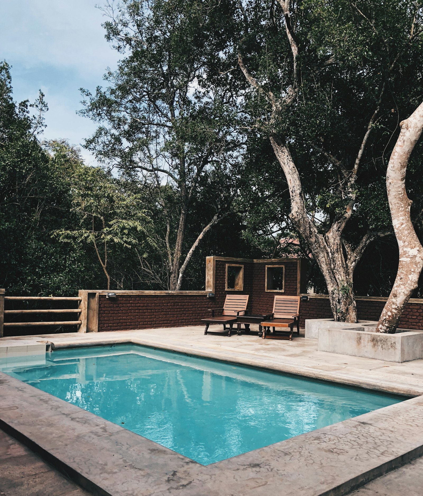 Rectangular pool with loungers under shade trees